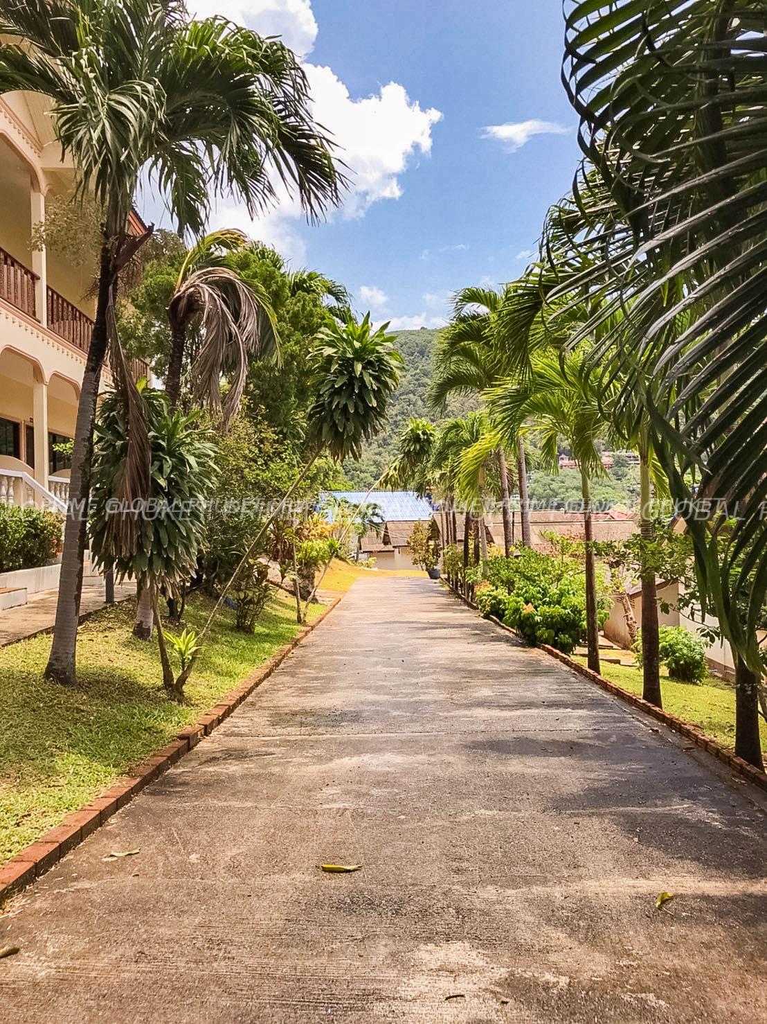   Condominium Plots for Rent in Kata