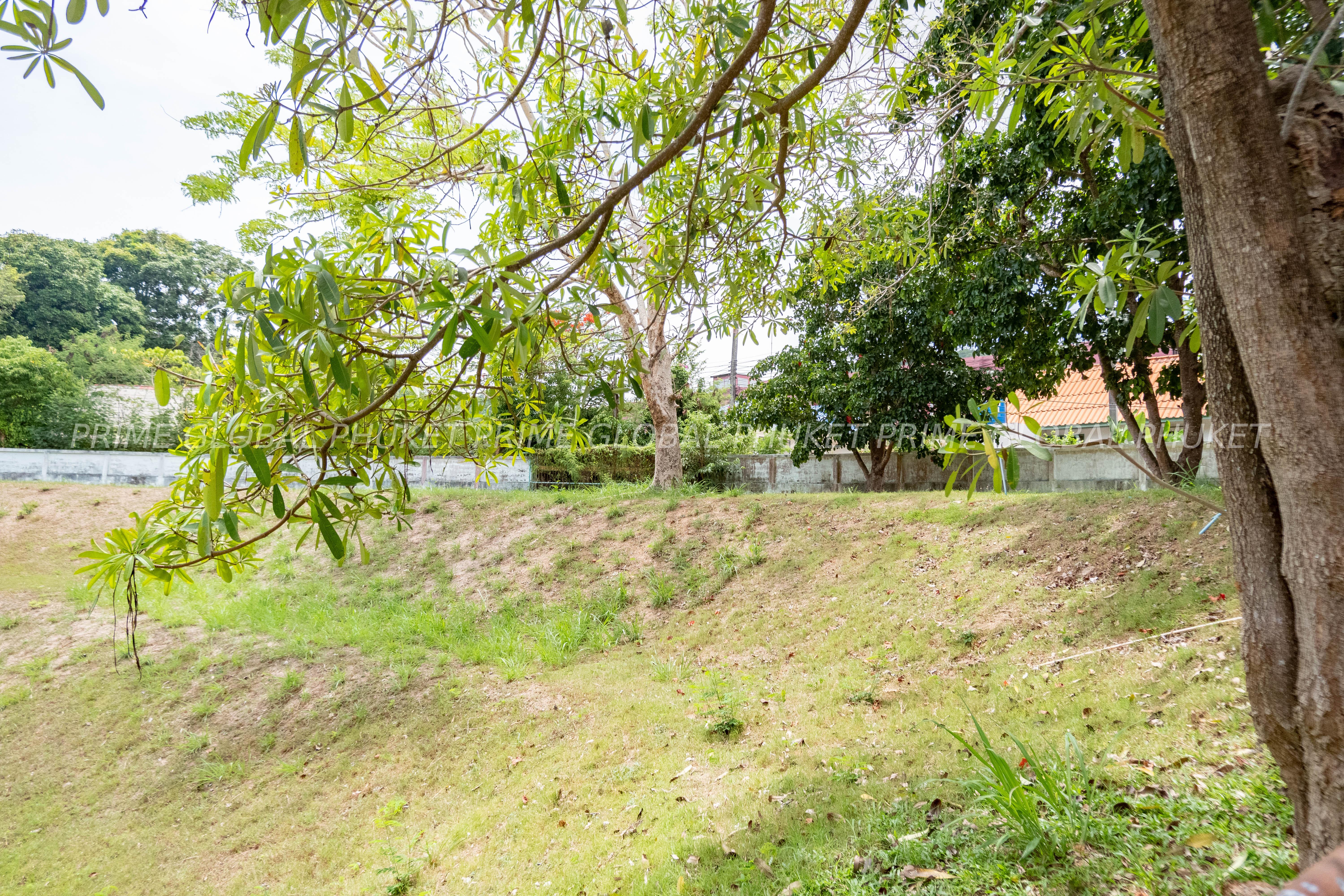 3200 Sq.m House Plots for Sale in Rawai