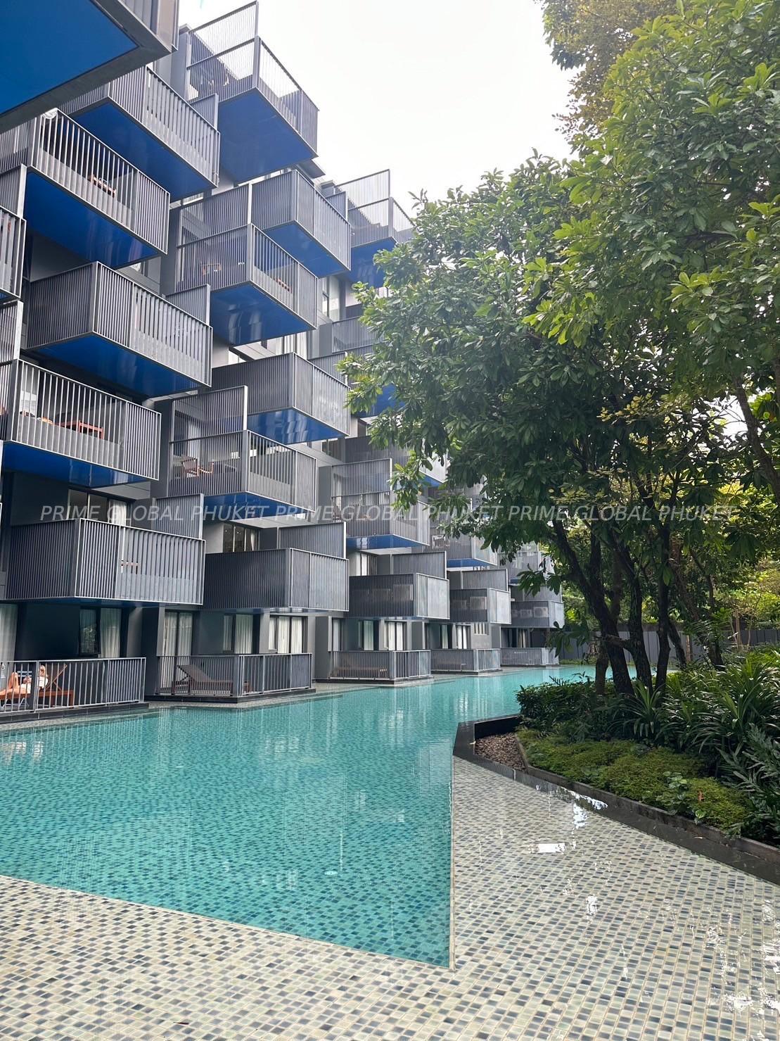   Condominium Plots for Rent in Patong