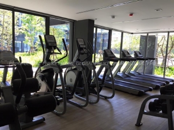   Condominium Plots for Rent in Patong