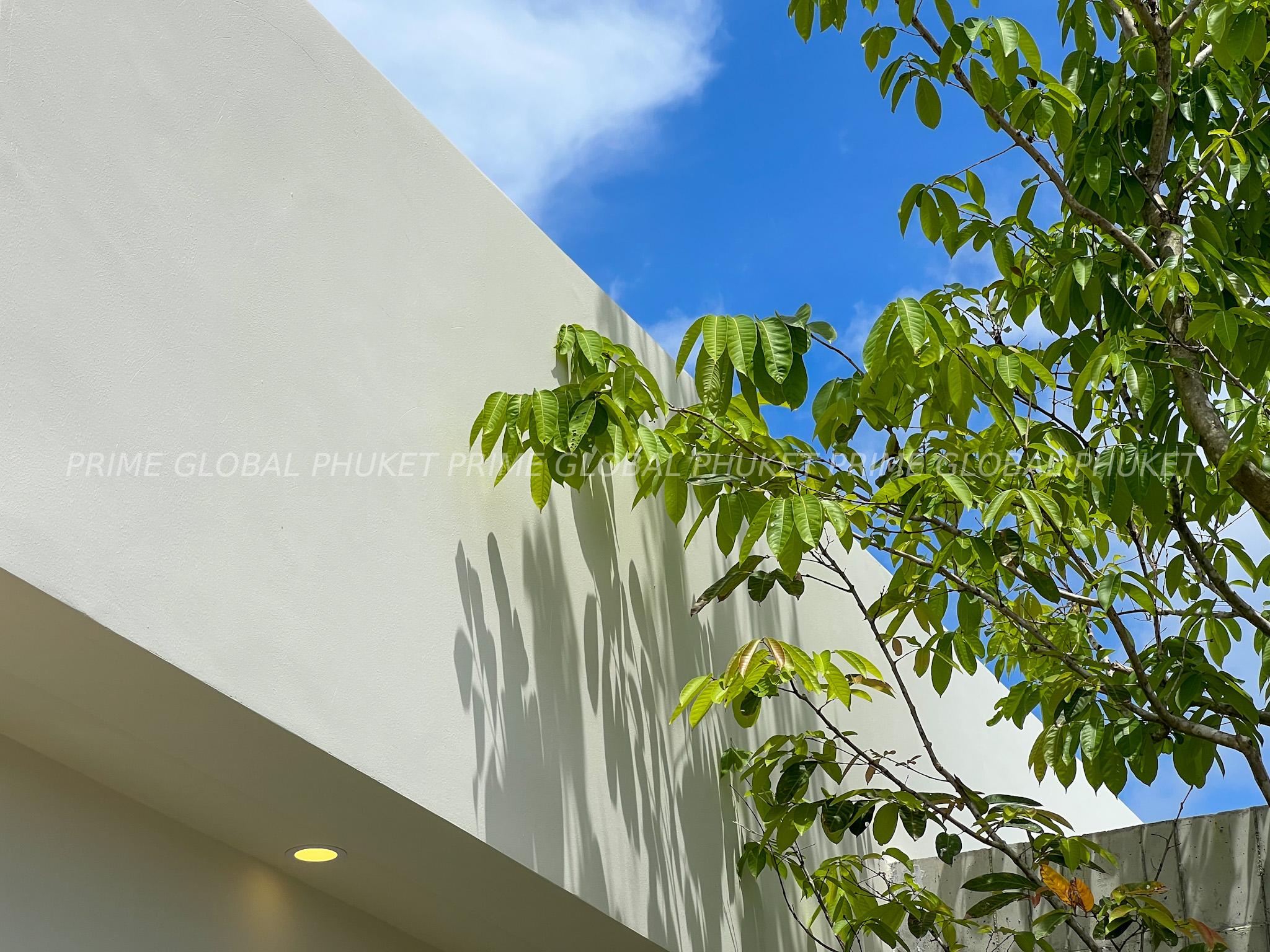 285 Sq.m Villa Plots for Sale in Bangtao