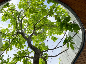 285 Sq.m Villa Plots for Sale in Bangtao