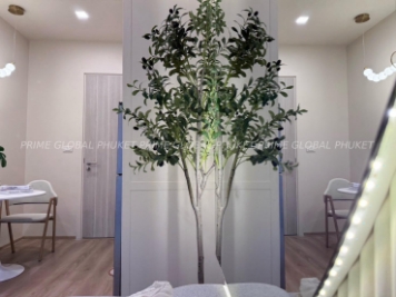 29.75 Sq.m Condominium for Sale in Chalong