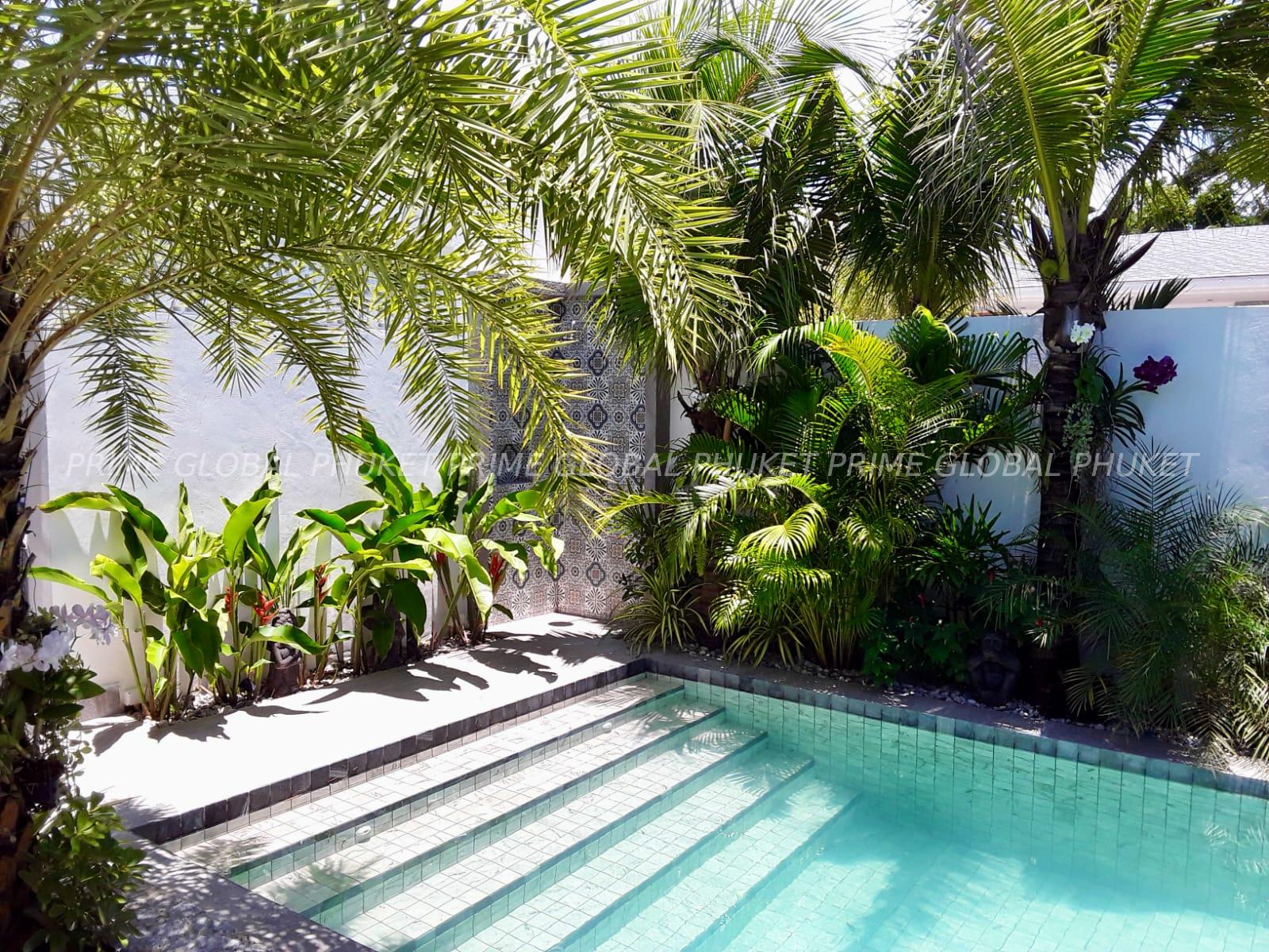 - Sq.m Villa for Rent in Rawai