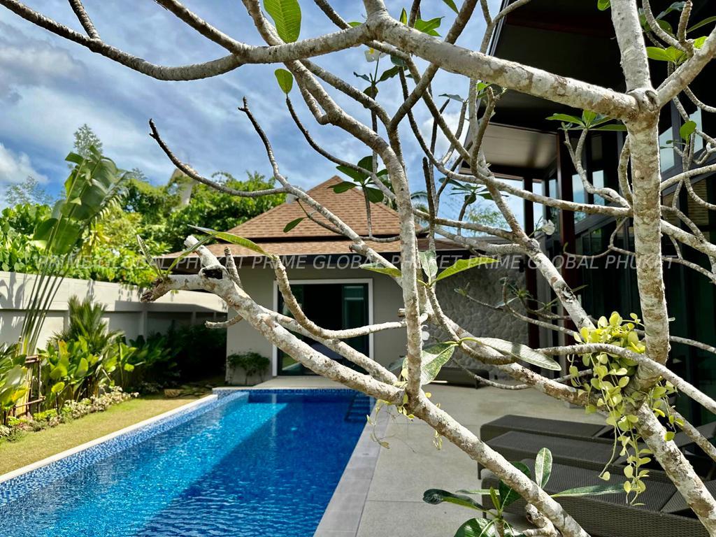 420 Sq.m Villa for Rent and Sale in Bangtao