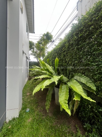 - Sq.m House for Rent in Chalong