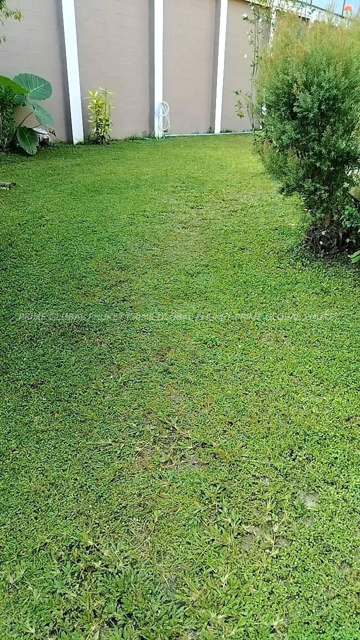 200 Sq.m House for Sale in Phuket town
