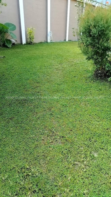 200 Sq.m House for Sale in Phuket town
