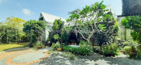 - Sq.m House for Rent in Thalang