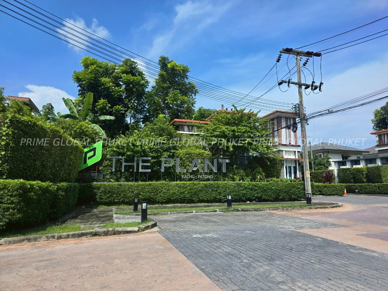 - Sq.m House for Rent in Kathu