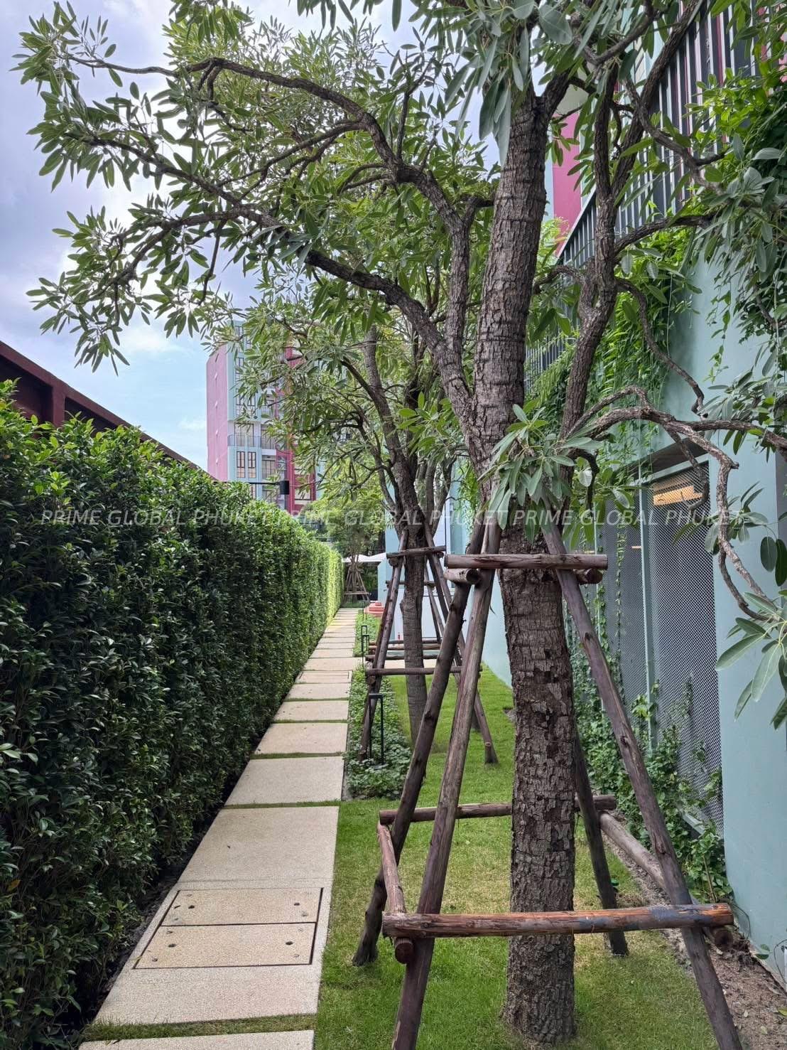 50 Sq.m Condominium for Rent in Kathu