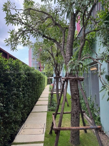 50 Sq.m Condominium for Rent in Kathu