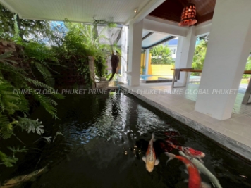 692 Sq.m Villa for Rent in Chalong